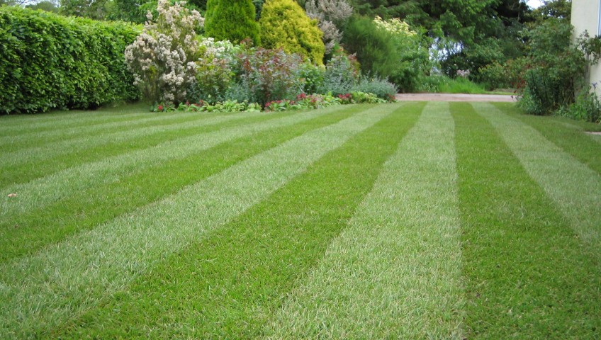 mow-grass-lawn-tips
