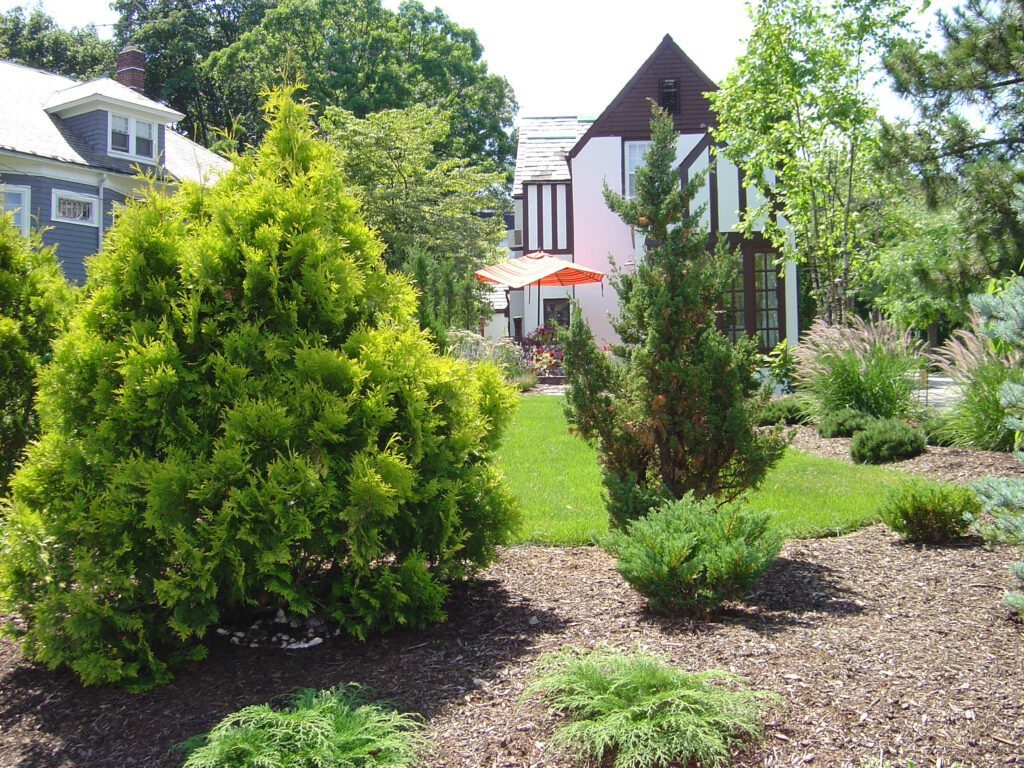 houston-landscaping-irrigation-trees-shrubs