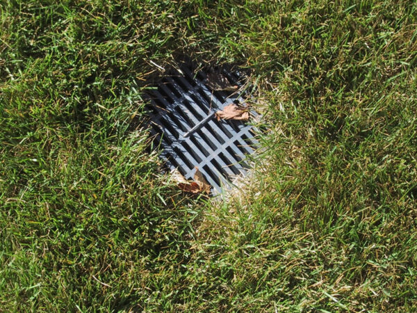 VIDEO: How To Fix Drainage Issues In Your Yard – JB Irrigation and Services