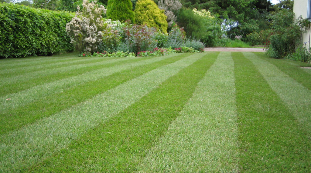 mow-grass-lawn-tips