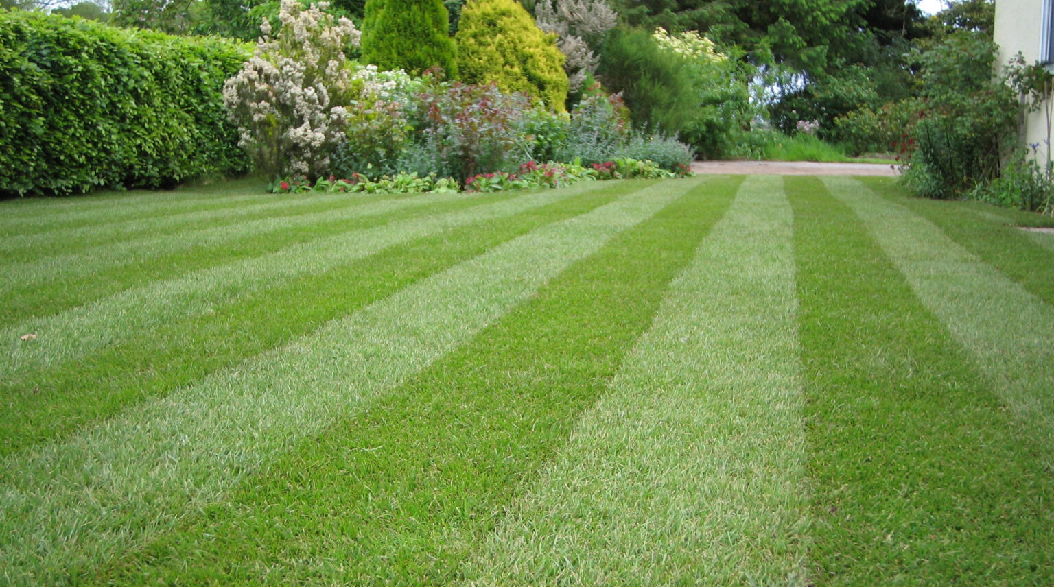 mow-grass-lawn-tips