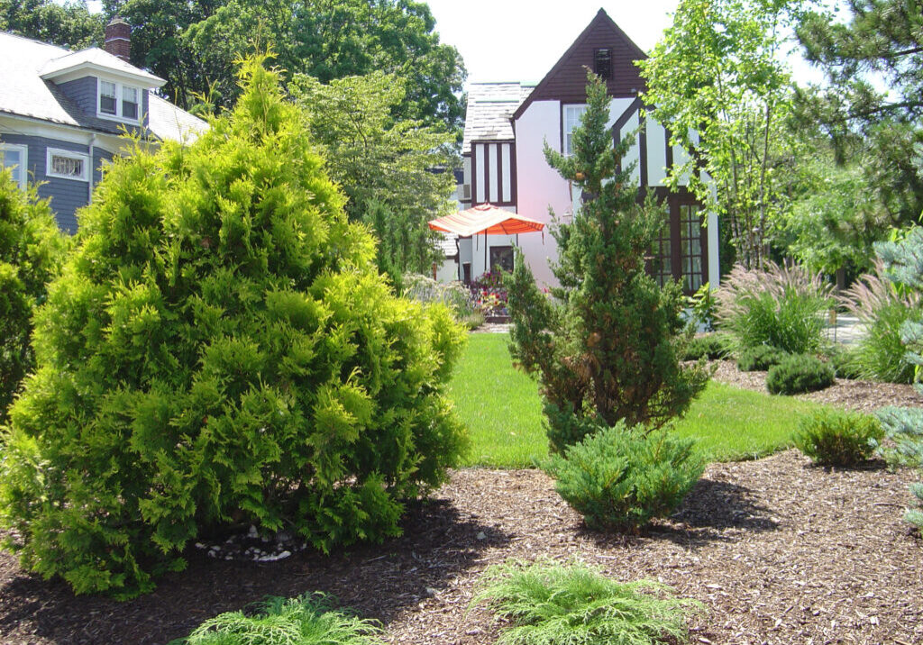 houston-landscaping-irrigation-trees-shrubs